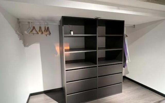 Huge modern flat in New town/Naujamiestis