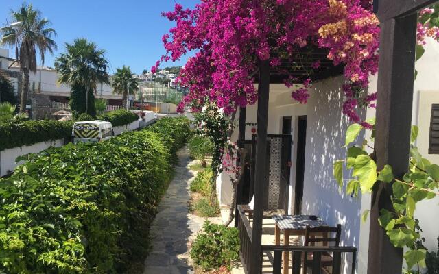 Salinas Beach Hotel Bodrum/Boutique Concept