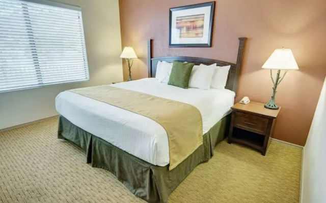 Raintrees Desert Arroyo