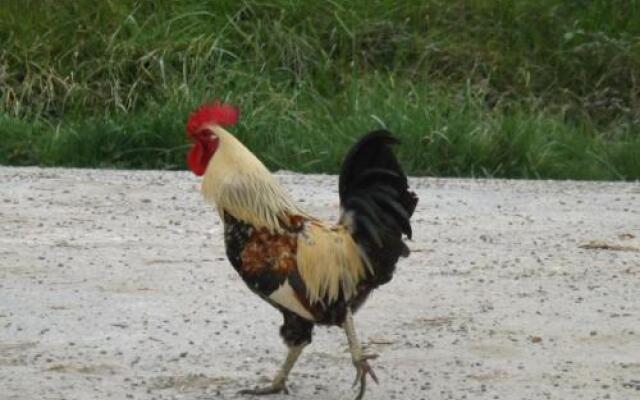 Chambres dhôtes Boudeau