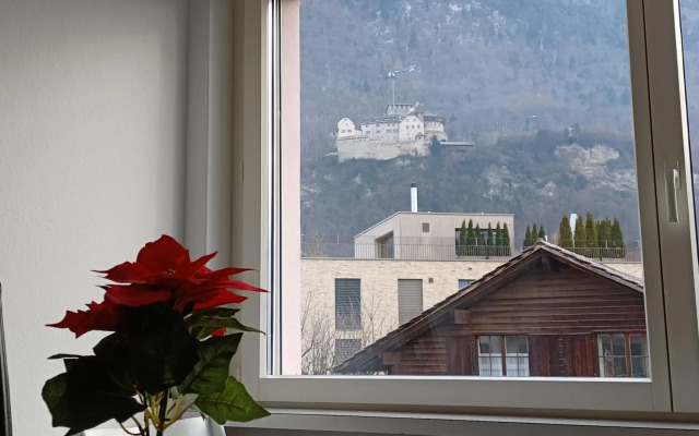 Castle View Big Appartment Vaduz Center
