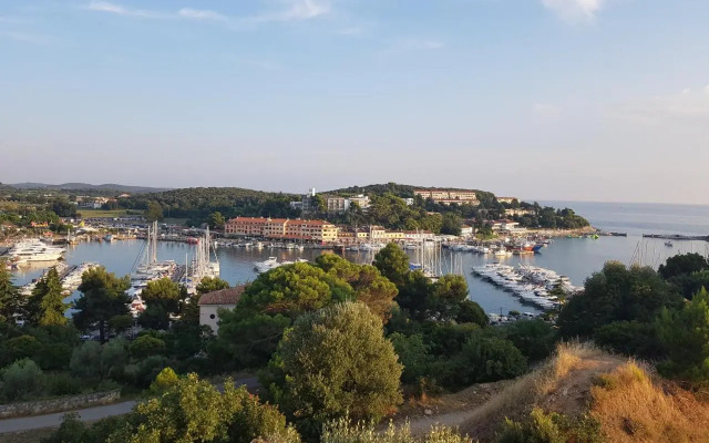 The Istrian
