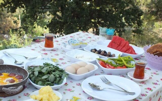 Olimpos Altun Pansiyon