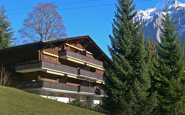 Bodmisunne