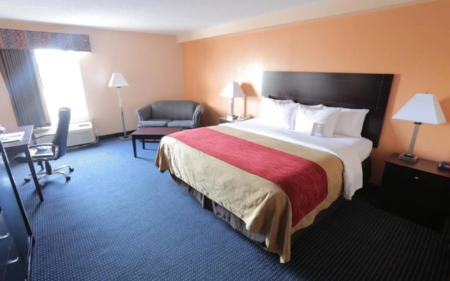 Caterina a San Pietro