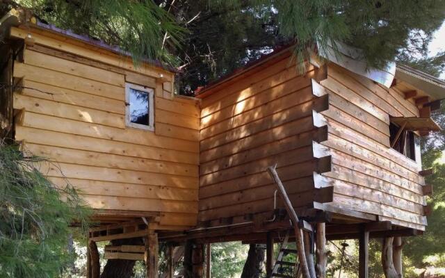 Casetta sull'Albero, Girasole