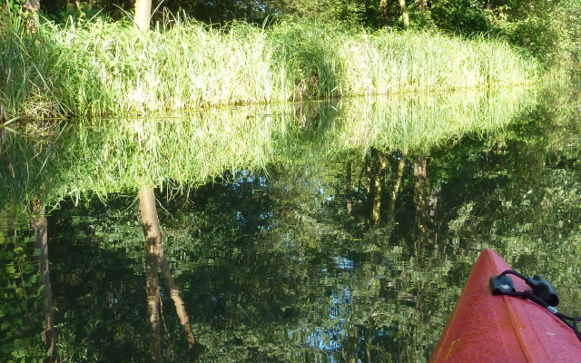 Spreewald - Pension Spreeaue