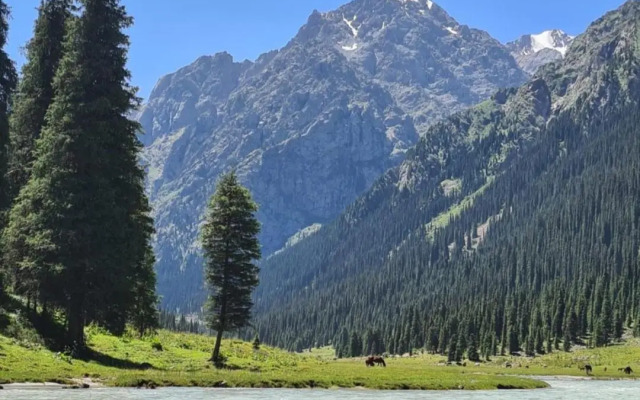 Waterfall in the yard