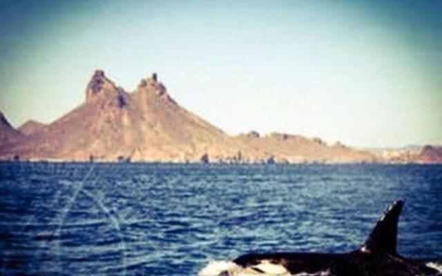 House In Miramar Seaview And Private Pool templada