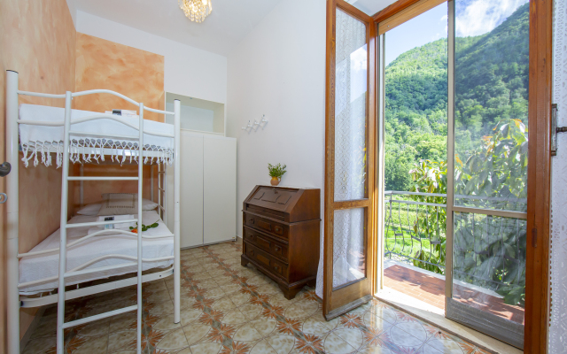 Glicine among vineyard