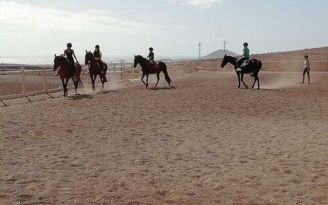 Seven Islands Apartamentos B&B