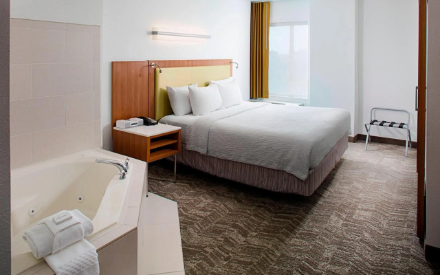 SpringHill Suites Savannah Downtown / Historic District