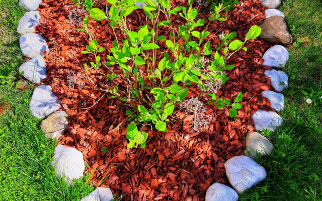 Apartment by Tanja&Nejc