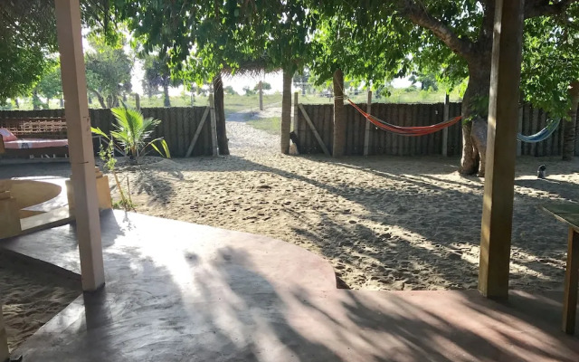 The Coconut