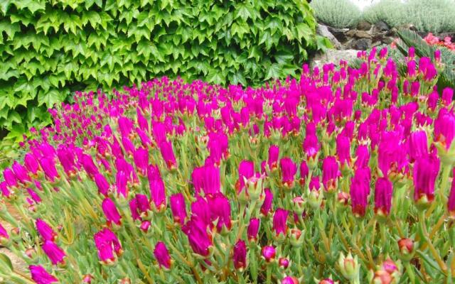 Locanda Degli Etruschi