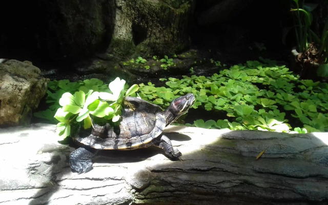 Shalana Homestay- formerly Teka Teki House