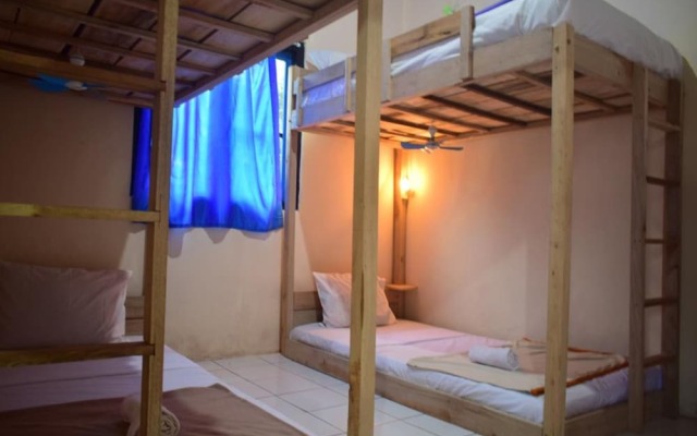 Dodo Dormitory Backpacker