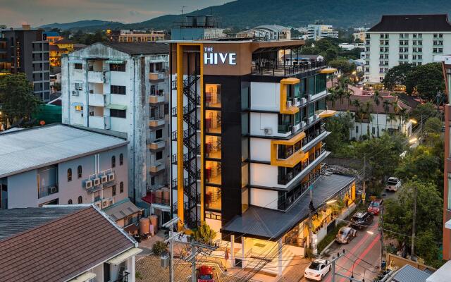 The Hive Chiang Mai