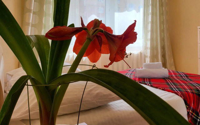 Апартаменты на проспекте Ленина 209