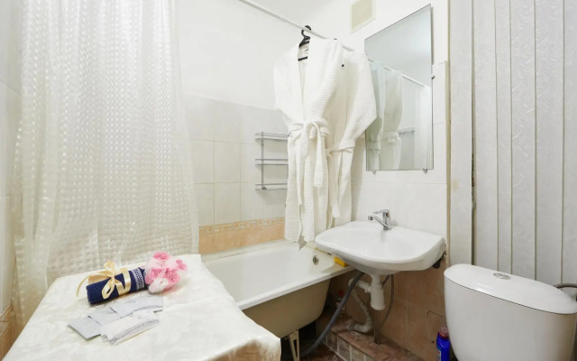 Apartments on Plekhanov street 21