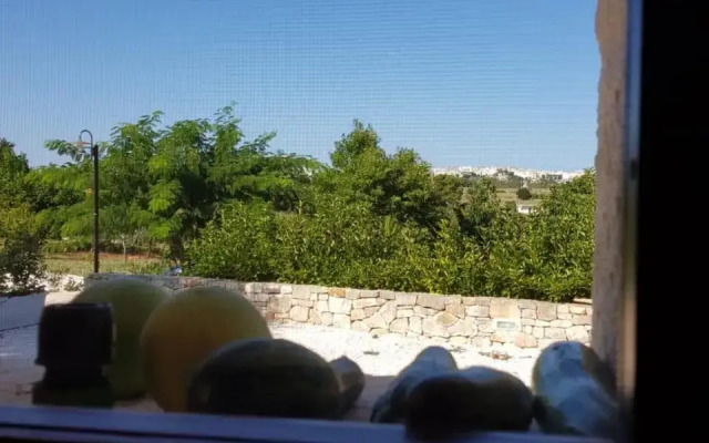 Trulli stett