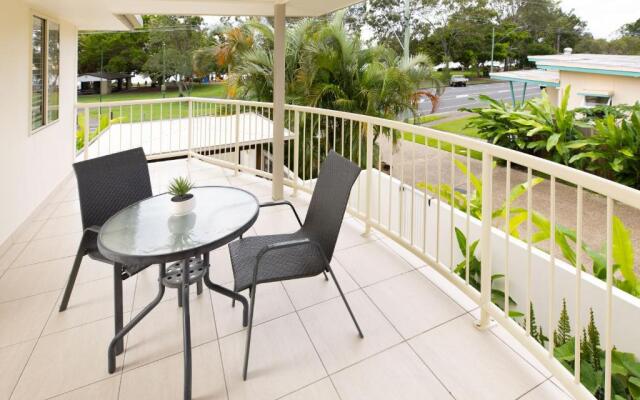 Noosa River Palms