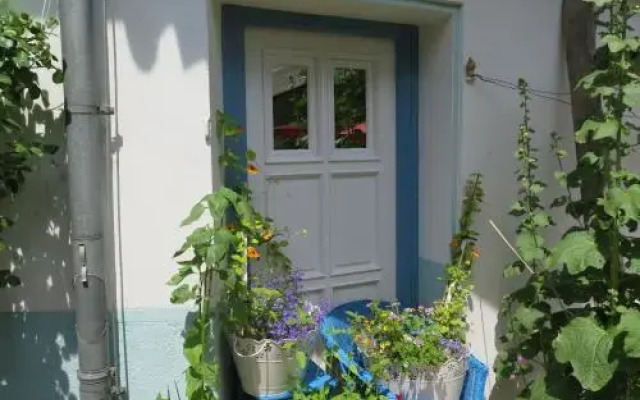 Stieglerhof Apartments