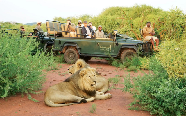 Impodimo Game Lodge