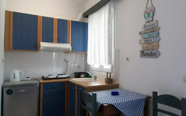 7 Bedroom Agios Romanos Villa in Tinos - BLG 69205
