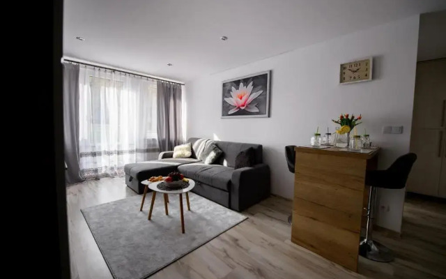 Apartament Przytulny