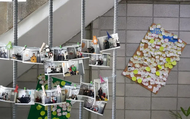 King Kong Guesthouse - Hostel