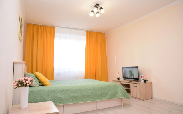 Apartment on Alexander Pushkin Street 1