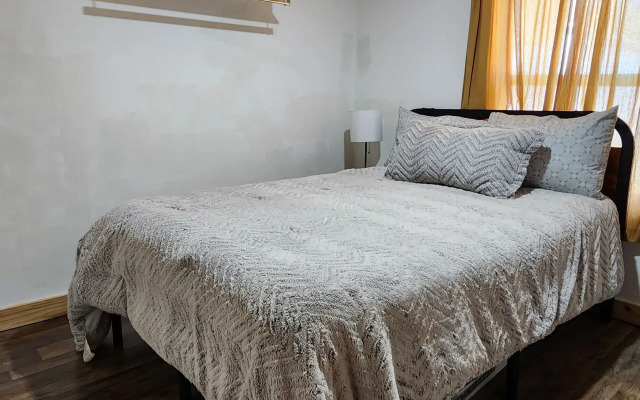 Modern Style Peaceful Tranquility Pet Friendly