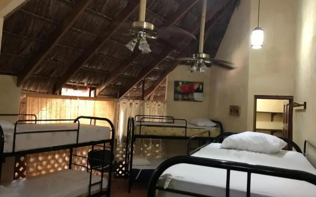 Palapa Hut Hostel & Camping