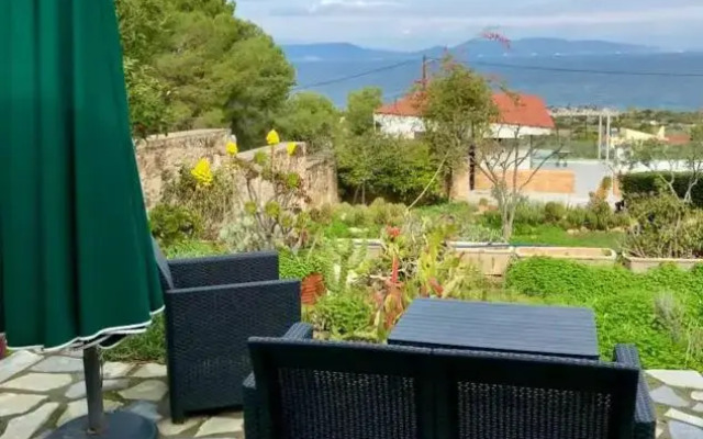 Pines & Sea Studio