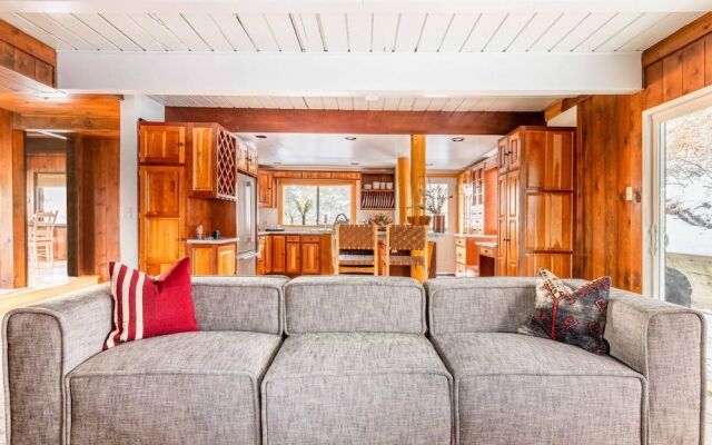 Upper Evergreen - Treetop