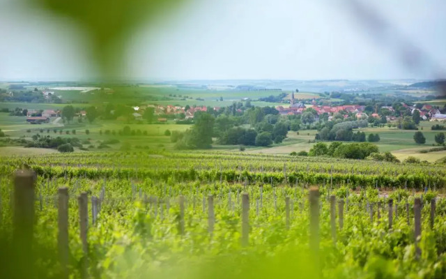 Weingut Winzerstube Schilling