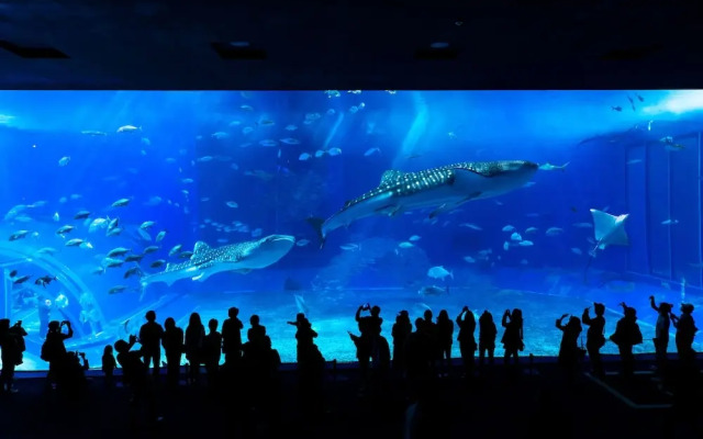 Aquaresort In Chatan