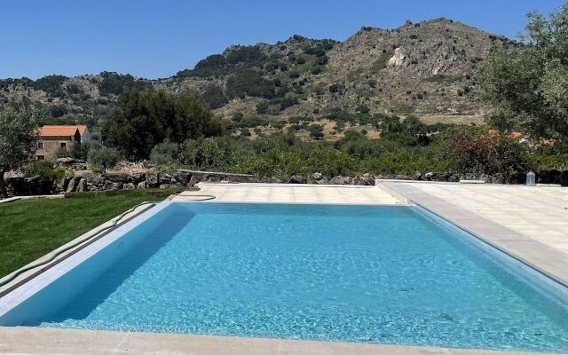 Casas da Villa - Oliveira e Videira