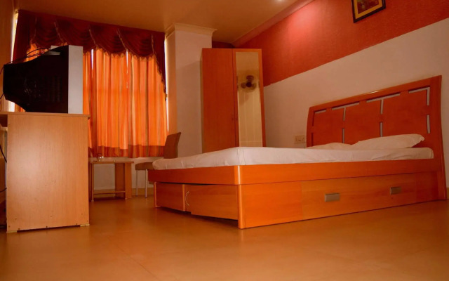 OYO 13365 Hotel Teg Royal