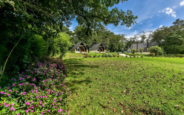 Villa Calas