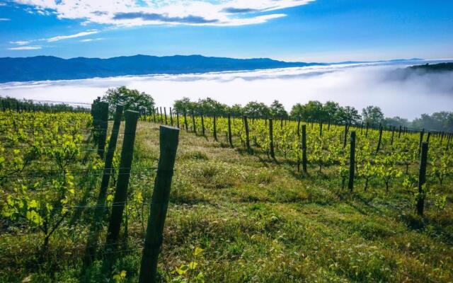 Tenuta La Novella