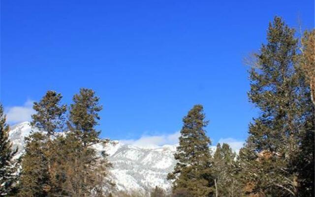 The Aspens