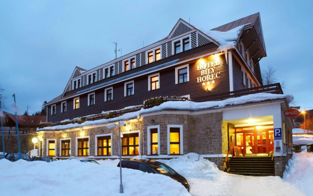 Spa Hotel Bilý Hořec
