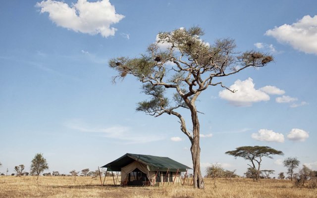 Pumzika Luxury Safari Camp - East Africa Camps