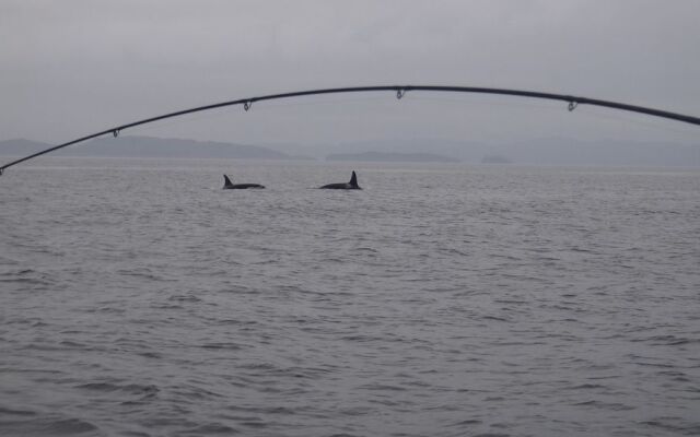 The Oceanfront Hotel