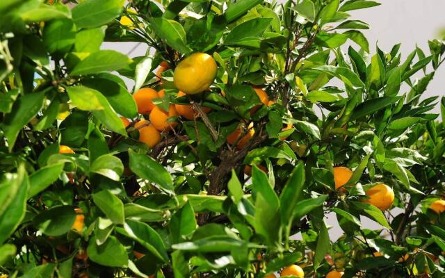 Apartments Luka & Sara