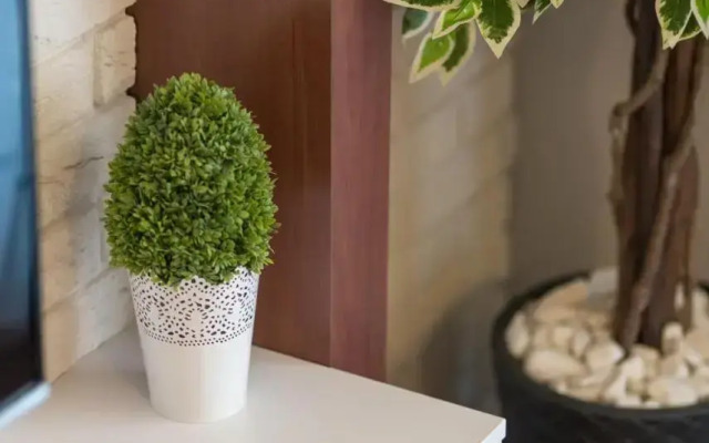River Boulevards Apartment
