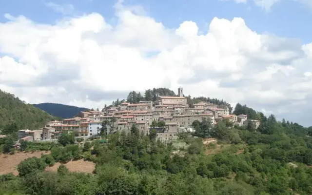 Sallicione