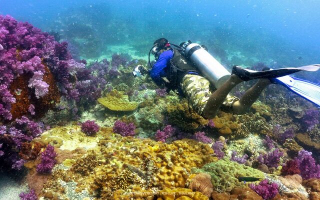 Satun Dive Resort